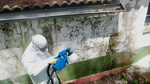 Trusted Mold Testing service in Grantville, GA - Cheap Mold Removal